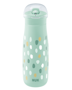 NUK Mini-Me Flip 450ml with 2in1 top